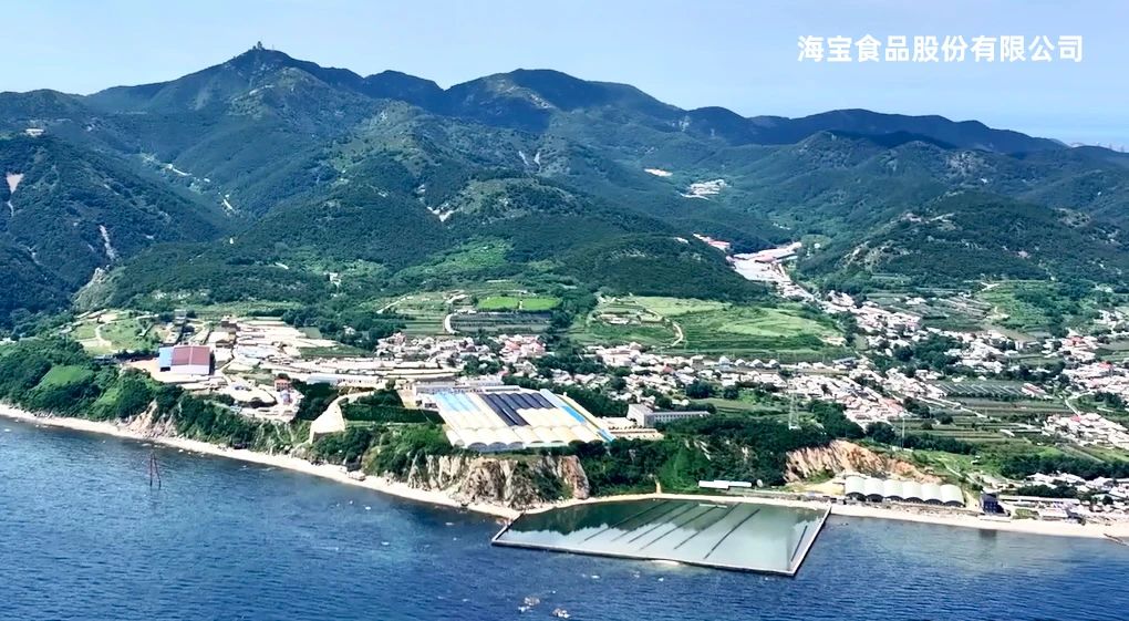 海寶.jpg