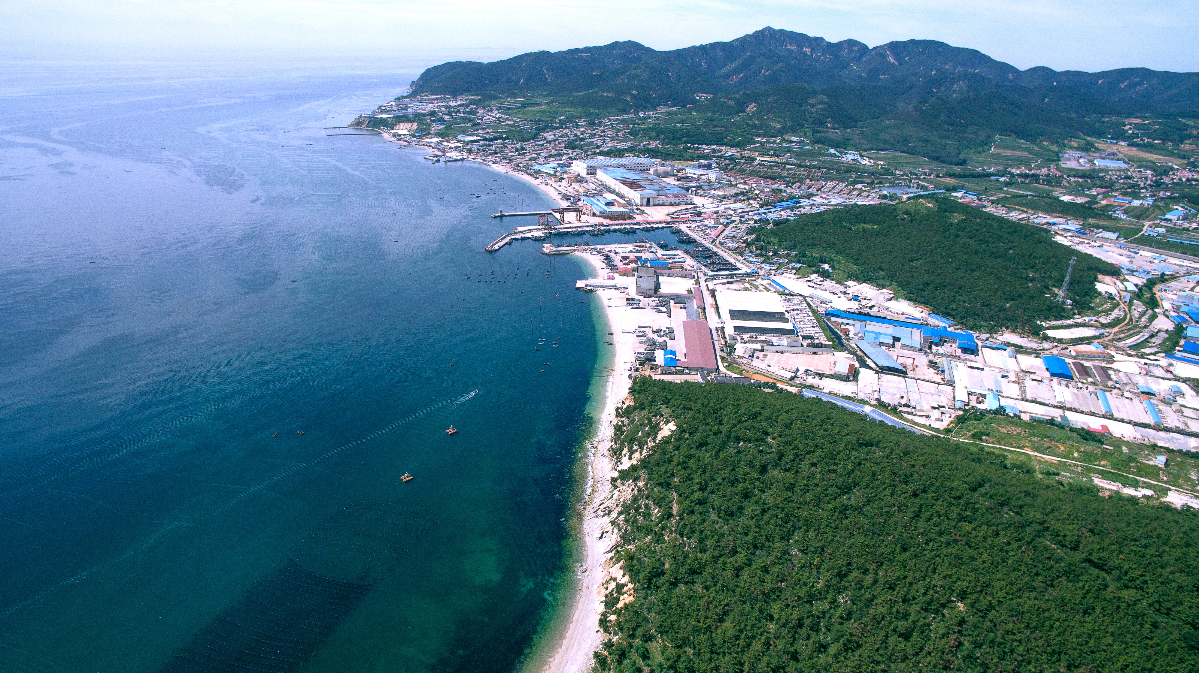 海寶漁業(1).jpg